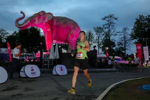 BIB: 
                            <button type="button" onclick="openModal(26529703)" class="btn btn-primary btn-sm float-right btn-popup" data-toggle="modal" data-target=".modal-high-quality">
                        <i class="fas fa-shopping-cart"></i> Add to Cart
                    </button>
                                            <button type="button" onclick="isThisMe(26529703, true)" class="btn btn-success btn-sm float-right btn-popup btn-isme hidden" data-toggle="tooltip" data-placement="bottom" title="นี่คือรูปของคุณใช่ไหม คลิกที่นี่เพื่อเอาเข้าอัลบั้ม">
                        <i class="fas fa-plus"></i> Add to album
                    </button>
                    <button type="button" onclick="isThisMe(26529703, false)" class="btn btn-warning btn-sm float-right btn-popup btn-isnotme hidden">
                        <i class="fas fa-ban"></i> Remove from album
                    </button>